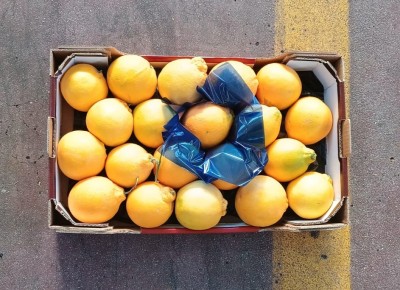 Foto Arance Tarocco Calibro 4 Origine Italia Marchio Cristina  3